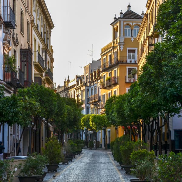 Quartier de Santa Cruz