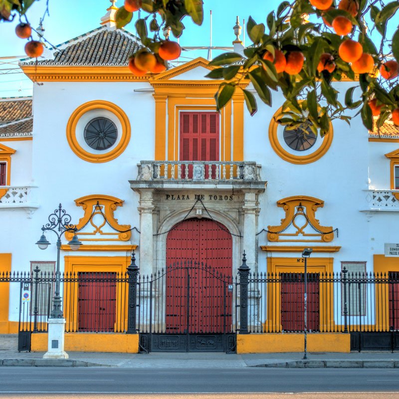 Arènes de la Maestranza à Séville